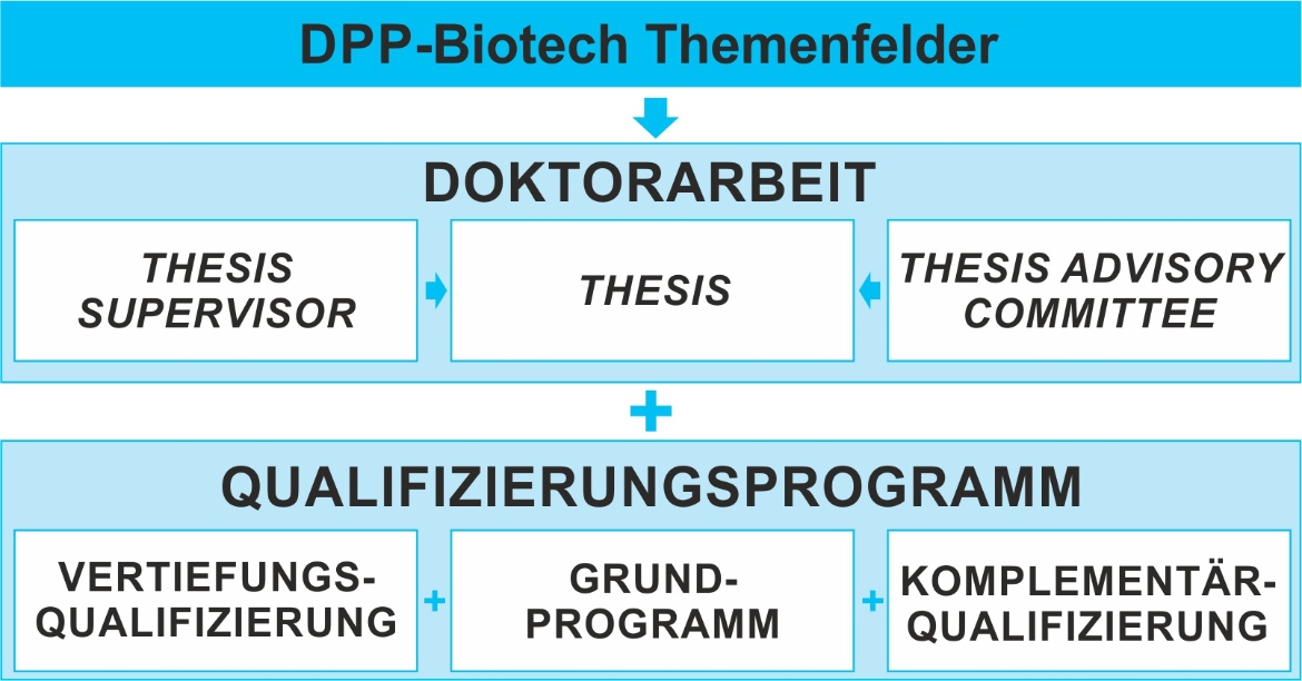 Aufbau des DPP-Biotech