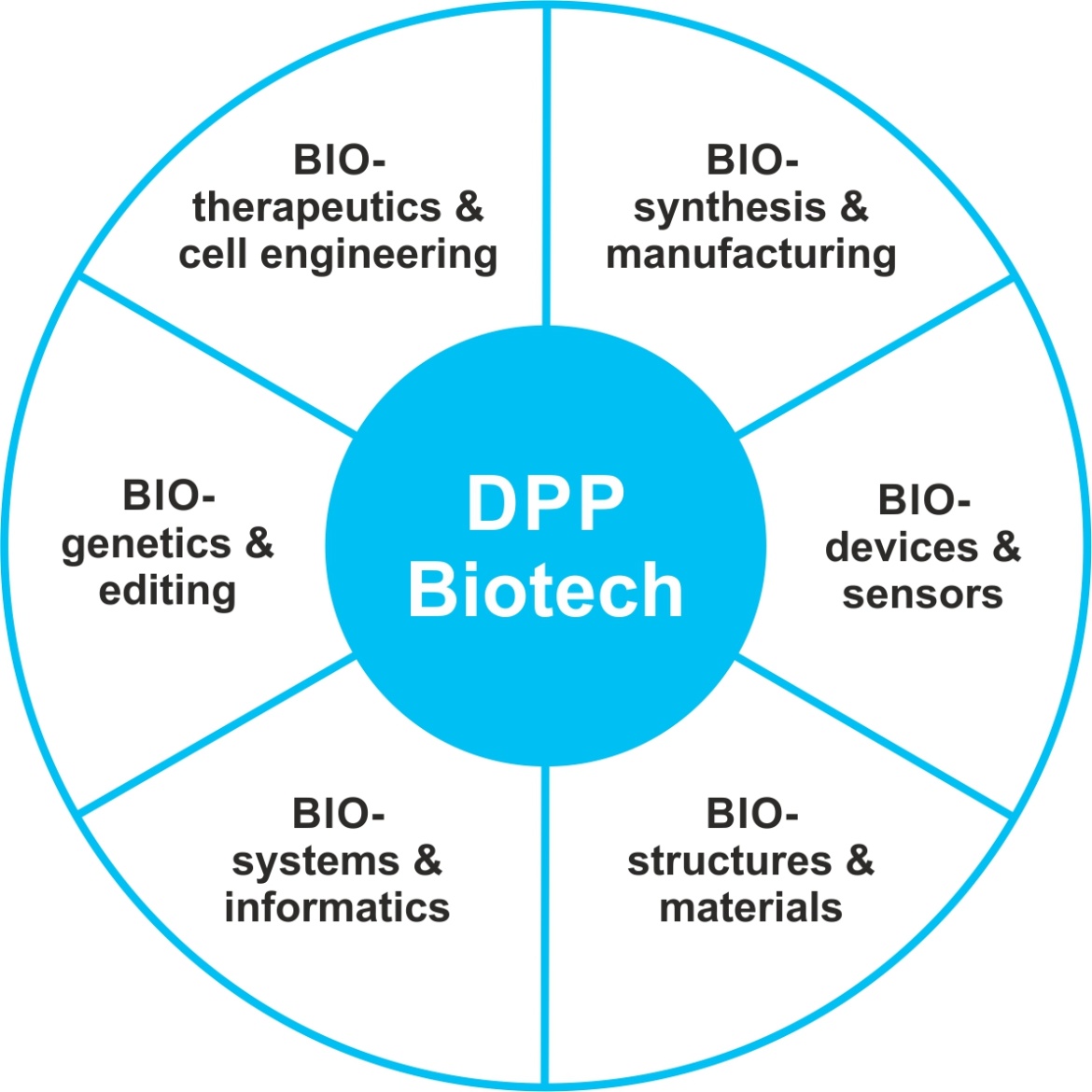 Themenfelder des DPP-Biotech